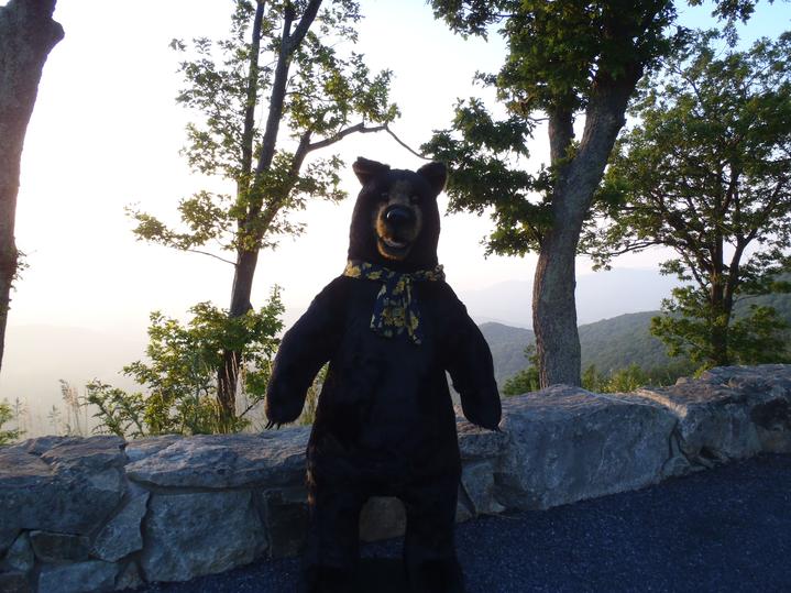 gertrude the black bear at bald eagle flag store