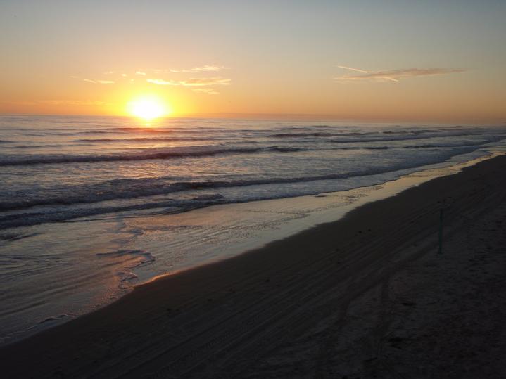 Bald Eagle Flag Store watching the sunrise on daytona beach florida